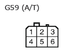 G11136651