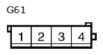 G11136653