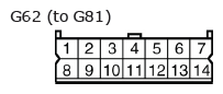 G11136654