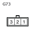 G11136665