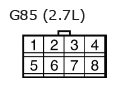 G11136673