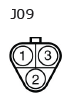 G11136686