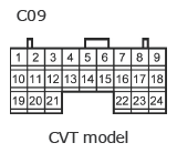 G11136796