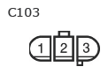 G11136815