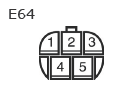 G11136848