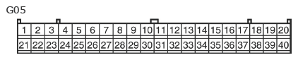 G11136902