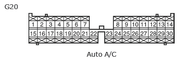 G11136906