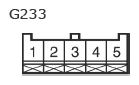 G11136929