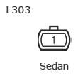 G11137061