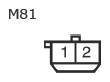 G11137112