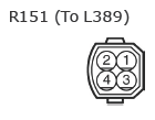 G11137135