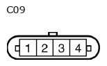 G11137157