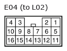 G11137204