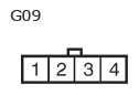 G11137301