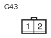 G11137315