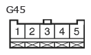 G11137317
