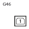 G11137318