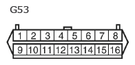 G11137325