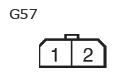 G11137329