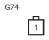 G11137346