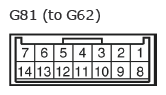 G11137349