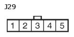 G11137386