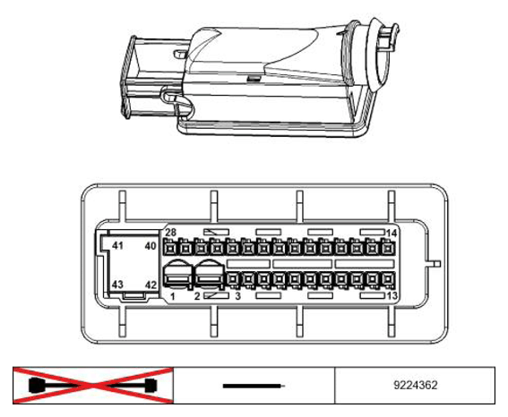 G11227904