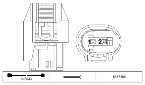 G11229181