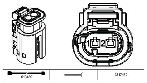 G11229248