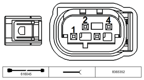 G11229262