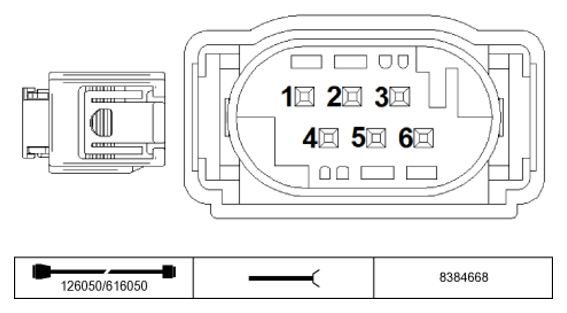 G11231139