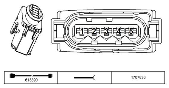 G11231192