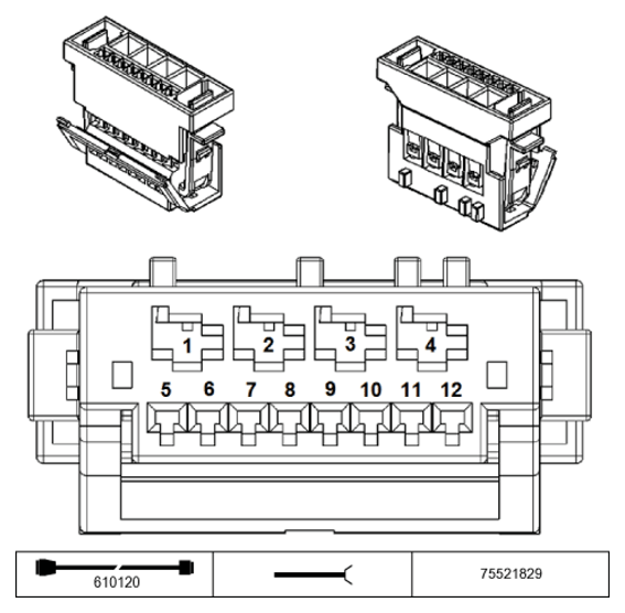 G11231226