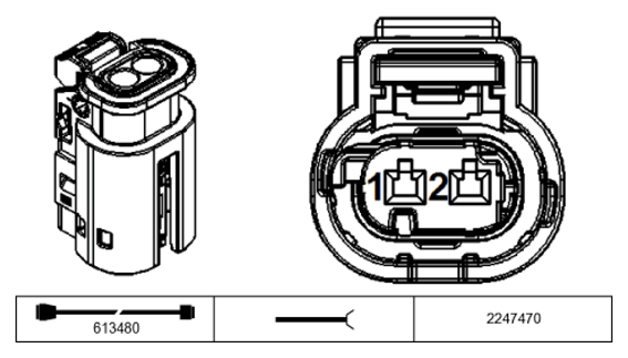 G11231236