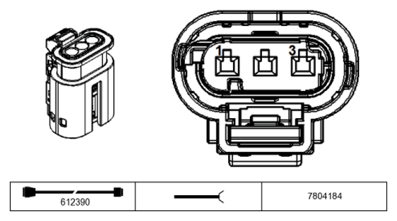 G11231242