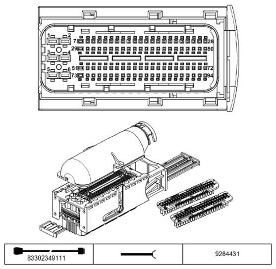 G11231307