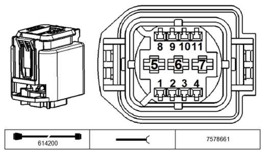 G11234034