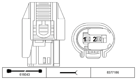 G11234162