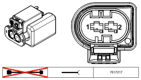 G11234218