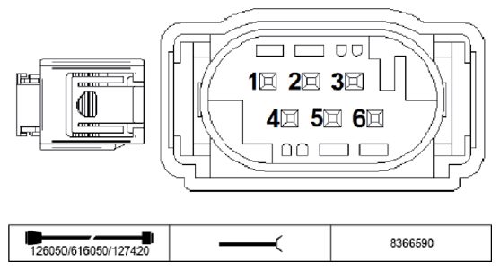 G11234305