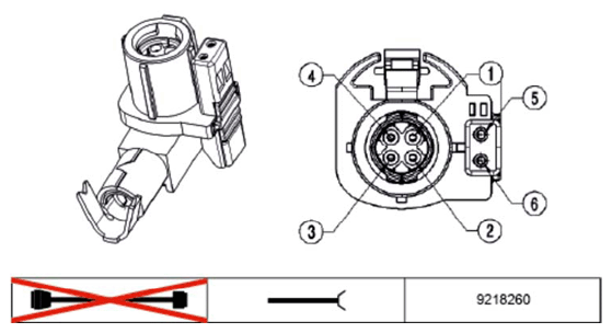 G11234451