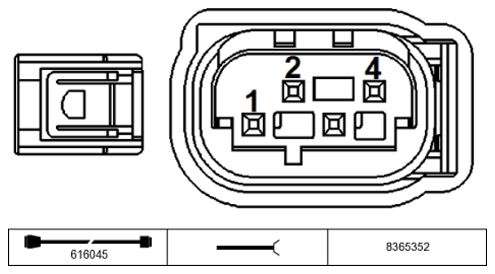 G11234454
