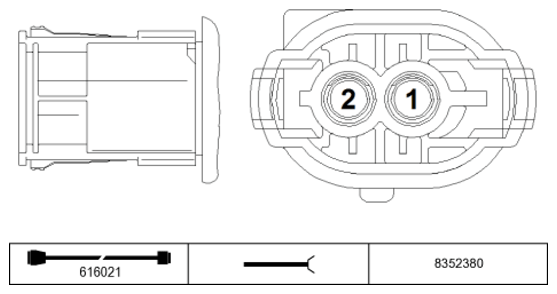 G11234496