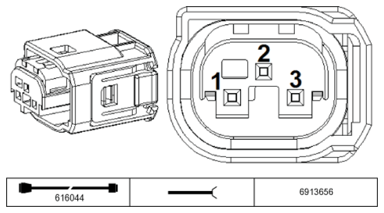 G11234616