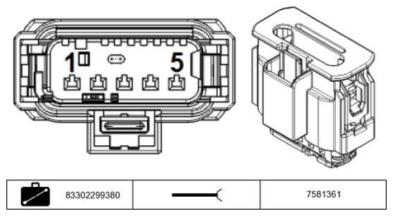 G11234694