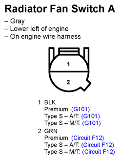G11247155