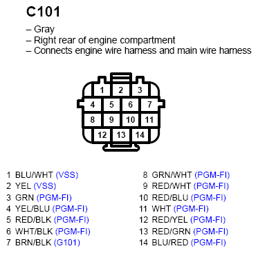G11247550