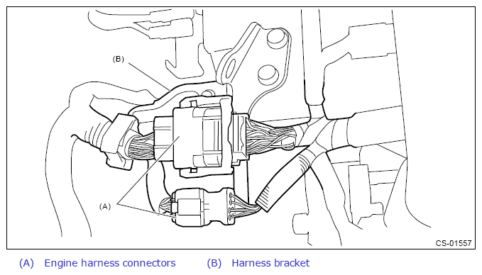 G11265282