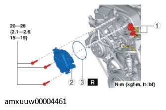 G11275761