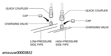 G11276391